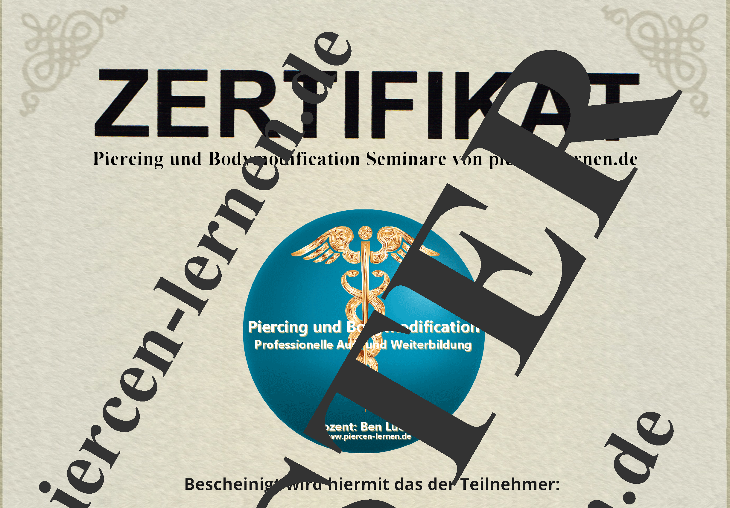 Piercer Ausbildung Zertifikat piercen lernen intensiv und professionell